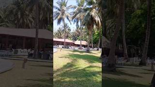 हैवलॉक island पे सिल्वर सैंड बीच रिसॉर्ट #travel #travelblog #beach #indiapictures #havelock