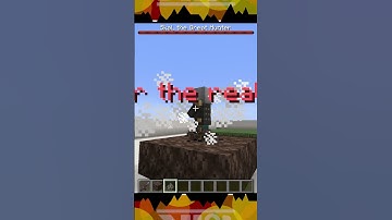 #minecraft | SPECIAL MOB Command Block | Vindicator (P)