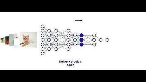 neural networks animation