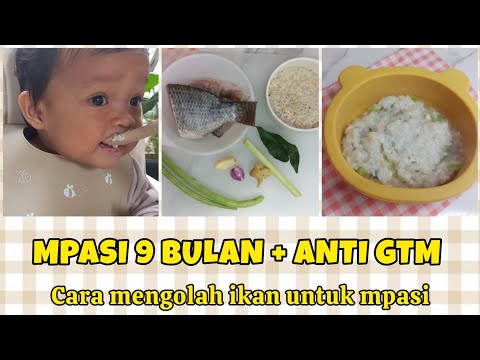 Mpasi Ikan Patin
