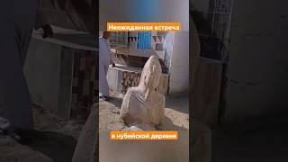 Неожиданная Встреча В Нубийской Деревне (Египет) #Древнийегипет