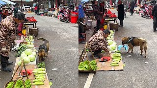 Highly intelligent dog thanks a vegetable seller with a chair as a gift😝