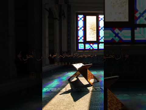 سعد الغامدي الم يأن للذين آمنوا ان تخشع قلوبهم لذكرالله و ما نزل من الحق سورة الحديد