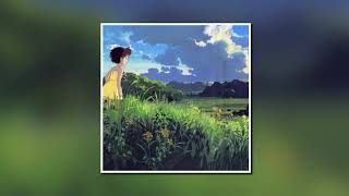 My Neighbor Totoro - Path Of The Wind (aekasora remix)