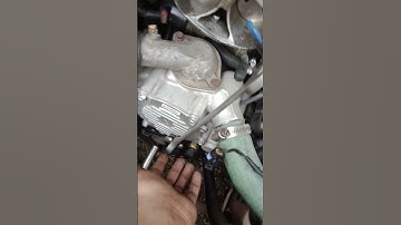 how to take a harmonic balancer off on a 94 caprice classic lt1 9c1 the quick way