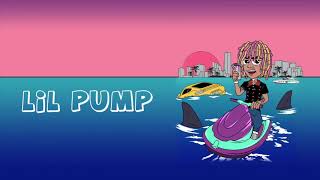 Lil Pump -What You Gotta Say Ft.  Smokepurpp (Audio)