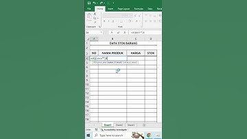 Cara Membuat Nomor Urut Otomatis Setiap Mengisi Data #shorts