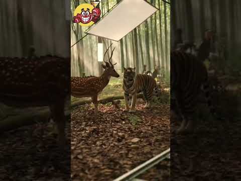 معركة شرسة تتحول إلى مشهد كوميدي بعد كلمة واحدة كوووت 