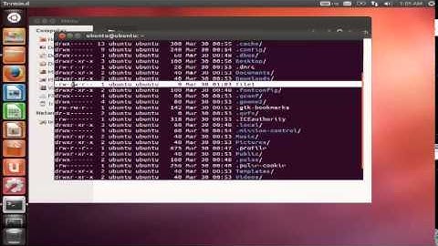 Linux File System + Permission Terminal Commands Example (Arabic)