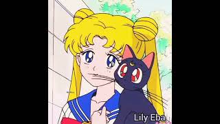 Usagi tsukino ( Sailor moon) cute pics..