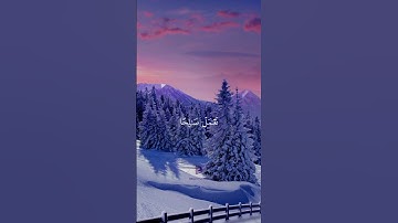 اللهم ارحمنا برحمتك ❣️ #القرآن_الكريم #القرآن #تلاوات_خاشعة #القران_الكريم_راحه_نفسية #تلاوة_خاشعة