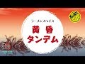 讃岐丸/400X No.61 黄昏タンデム