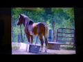 Why I Prep, Truthfully!