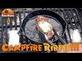 Rving Alaska: Cooking Ribeye Steaks over a Campfire inside Denali National Park