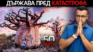 50 Факта За Мадагаскар, След Които Ще Си Купите Ай-Ай