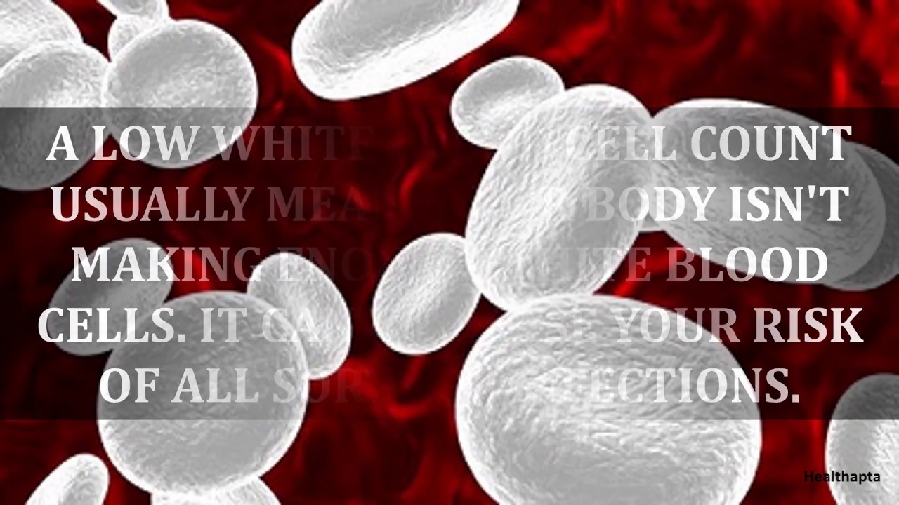 Low White Blood Cell Count Youtube