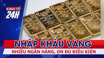 Doanh nghiệp và ngân hàng rục rịch nhập khẩu vàng | Tài chình kinh doanh |Kinh tế 24h