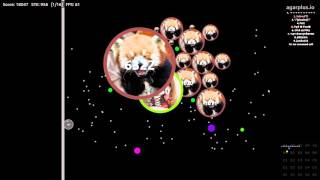 Splitrunning Agar.io Ⅵ (Real Time)