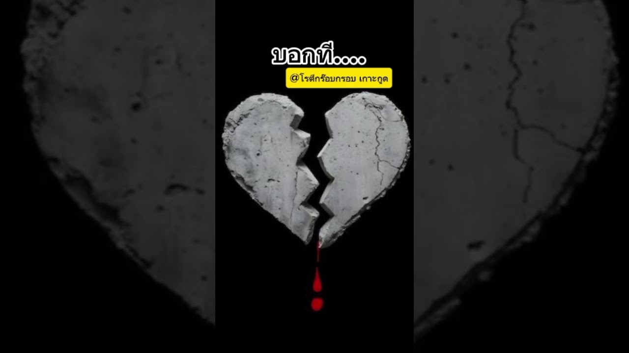 บอกที.. #เพลง #song #เพลงฮิต #music #เพลงดัง #songlyrics #songlyrics #cover 