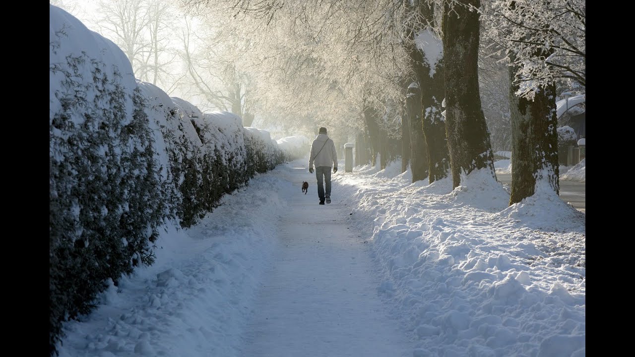 Khoảng Trống Giữa Mùa Đông