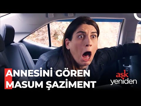 Gergedan Ayfer'den Nasıl Kaçacağını Şaşırdı! - Best of Şaziment #68