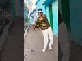Jimmy Jimmy Jimmy Aaja Aaja Mithun Chakraborty Superhit Song Jimmy Jimmy Jimmy Aaja Aaja Mithun Chakraborty Superhit Song