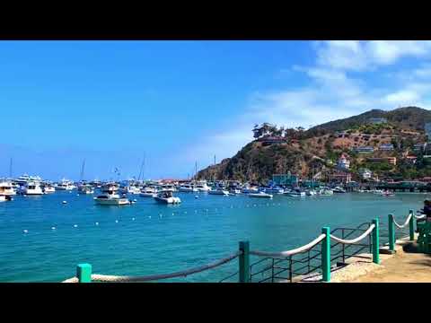 Video: Guida al Festival JazzTrax sull'isola Catalina