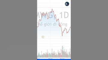 Nhóm quỹ Dragon Capital bất ngờ bán MWG sau nửa năm âm thầm gom hàng