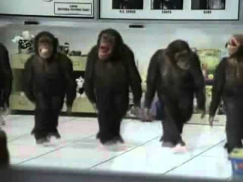Happy Birthday Dancing Chimps Style