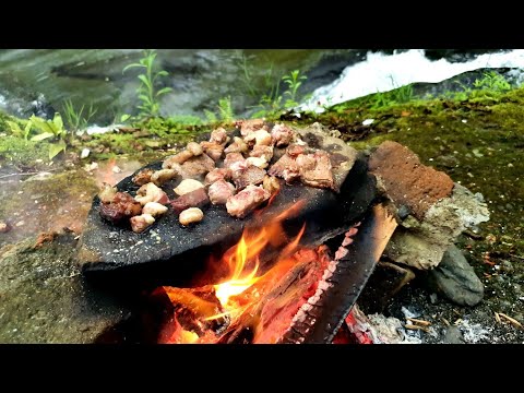 Video: Kızamıkların Yemek Pişirme Ve Tıpta Kullanımı