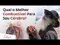 Qual o Melhor Combustível Para Seu Cérebro? | Sadhguru Português