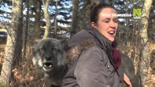 Viasat Nature Nordic - Wild Obsession Promo