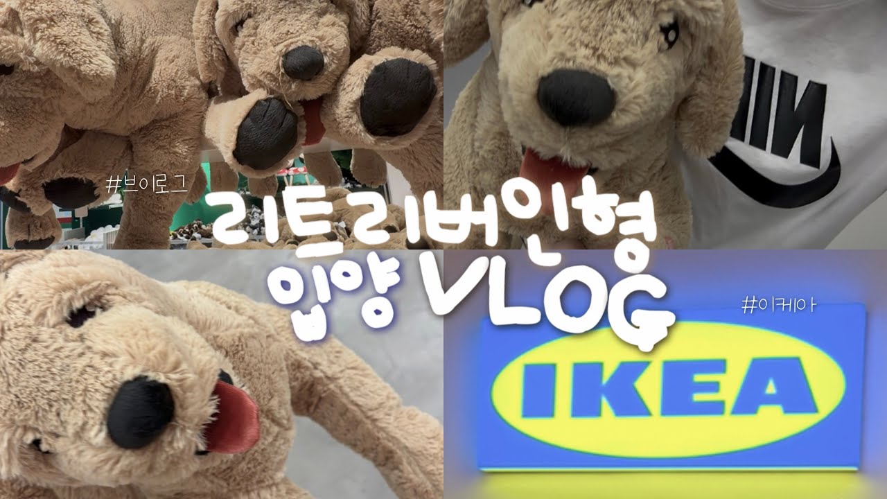 골든리트리버인형 입양 브이로그 | 이케아브이로그 | 인형계 | 인형입양 | 인형계브이로그 | 강아지인형 | ikea vlog