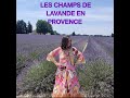 LES CHAMPS DE LAVANDE EN PROVENCE EN JUIN ET EN JUILLET #lavenderflowers