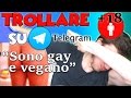 [+18] "SONO GAY E VEGANO" - TROLL EPICO SU TELEGRAM DEGENERATO NEL TRASH