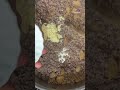طريقة طهي مميزة ليخنة السبنانخ مع شيف فوق البكالوريا | صباح سوريا