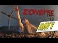 Davy  zombite