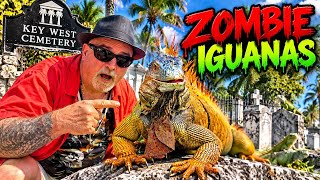 We Found ZOMBIE IGUANAS In A Key West Graveyard!!!