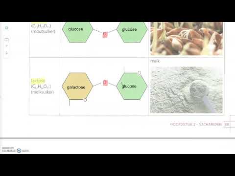 Video: Hoe worden glycosidische bindingen gevormd?