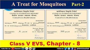 A Treat for Mosquitoes Chapter 8 - Part 2 | Class 5 EVS