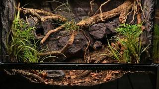 Bioactive Vivarium for My Leopard Gecko