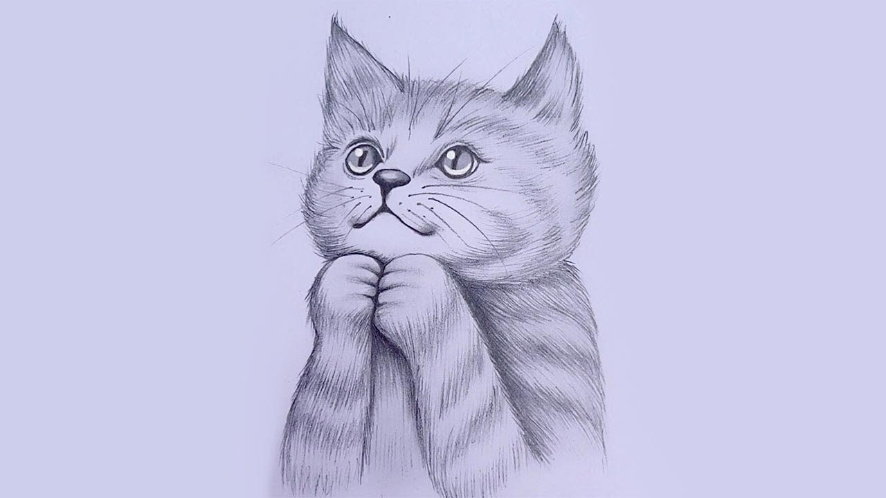 Learn How to Draw a Cat – Scout Life magazine