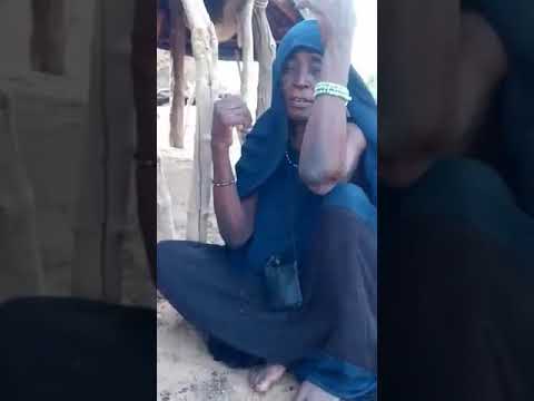 عنصريت الحراطين