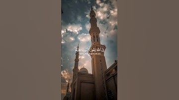 القرآن الكريم - سورة الزمر - تلاوة خاشعة مريحة للنفس