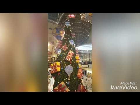 فيديو: أين أشجار عيد الميلاد في موسكو