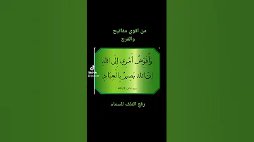 وأفوض امري الي الله أن الله بصير بالعباد 