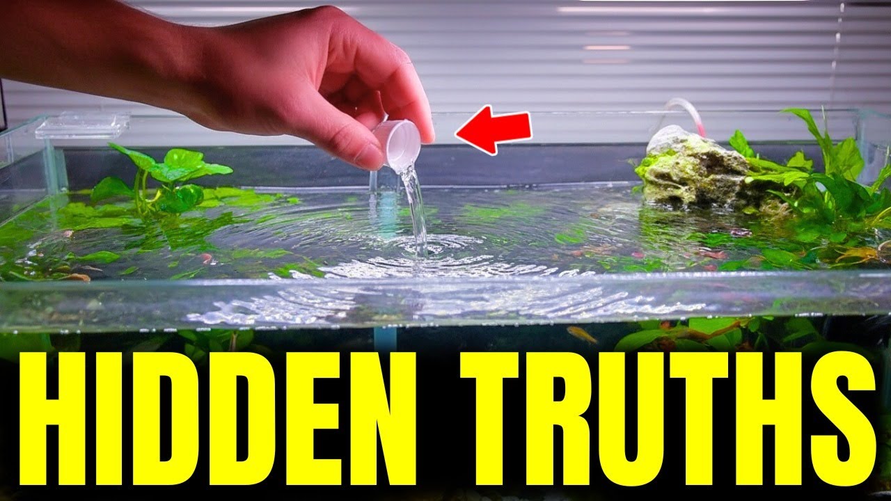 7 темных секретов, которые ваш LFS не хочет, чтобы вы знали