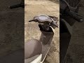 Магазин  “Мото Квартал” город Никополь. Днепропетровская область. Украина. #МотоКвартал  #мопед