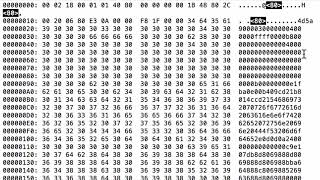 VBA Maldoc: Form-Embedded PE File