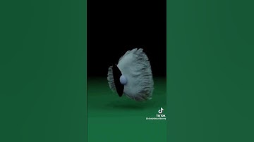 The wheels on the bus go round and round tiktok meme